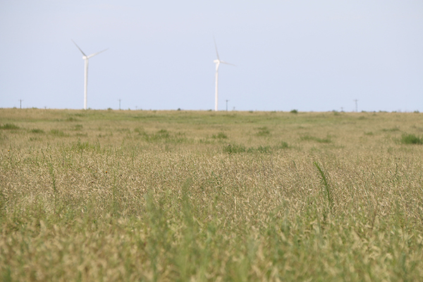 Edlin 165-Acre Property